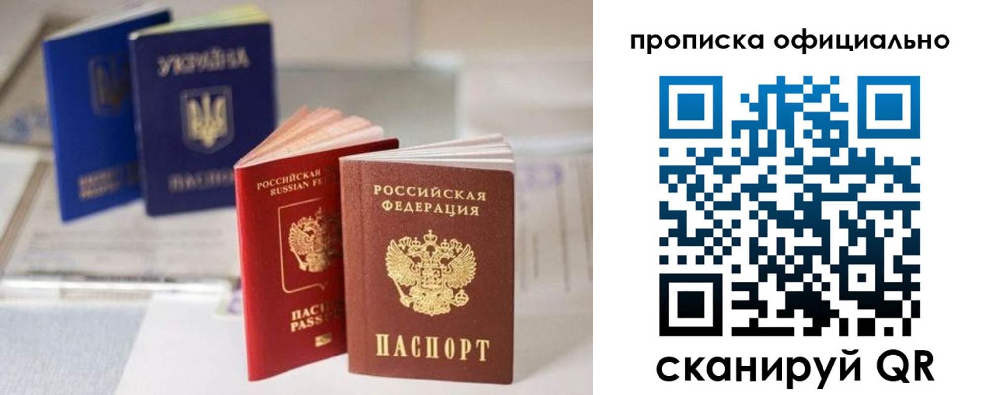 прописка поиск в Чайковском